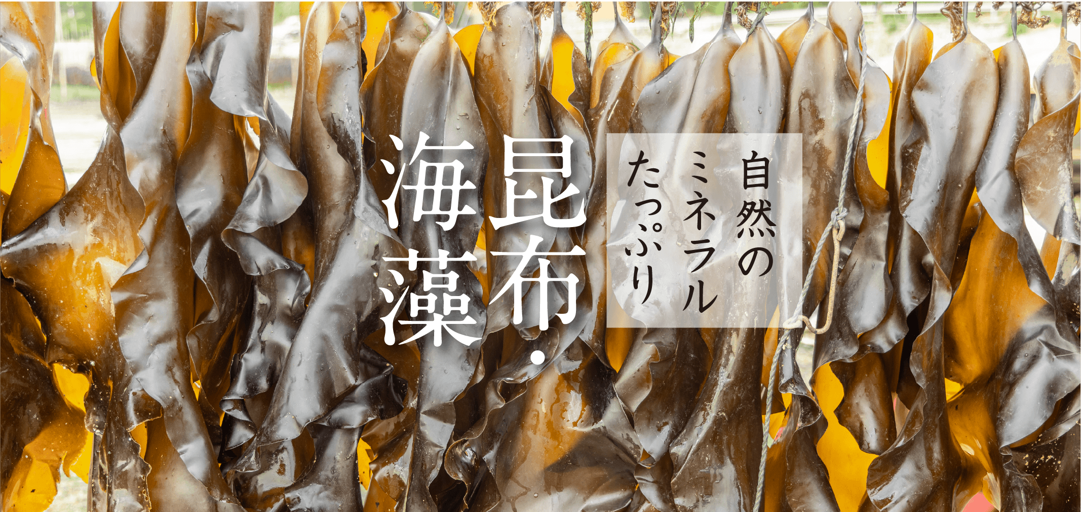 昆布・海藻