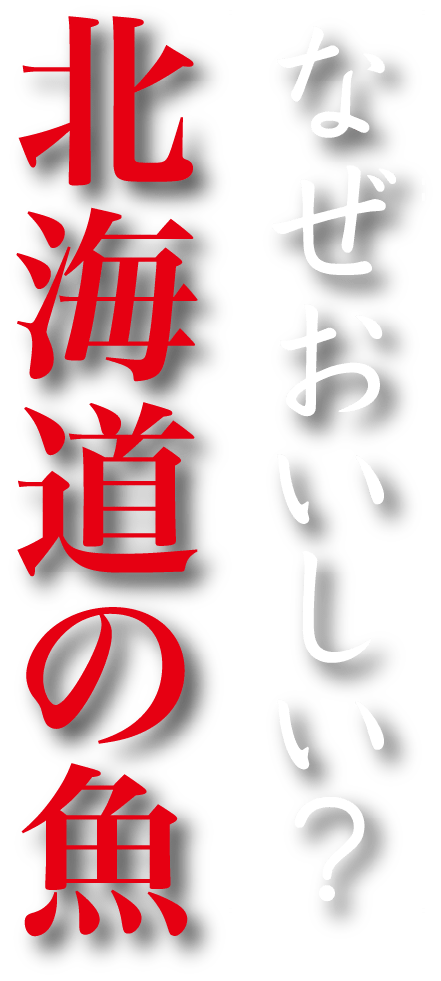 なぜ美味しい？北海道の魚